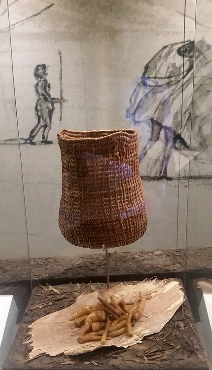 Aboriginal Australian Basket