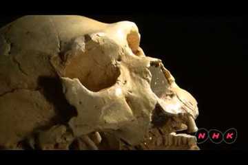 Archaeological Site of Atapuerca (UNESCO/NHK)