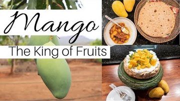 Mango: The King of Fruits || Outside and In with The Cooks Cook