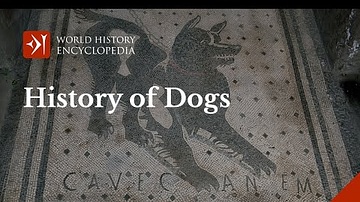 The Long History of Dogs in Honour of International Dog Day
